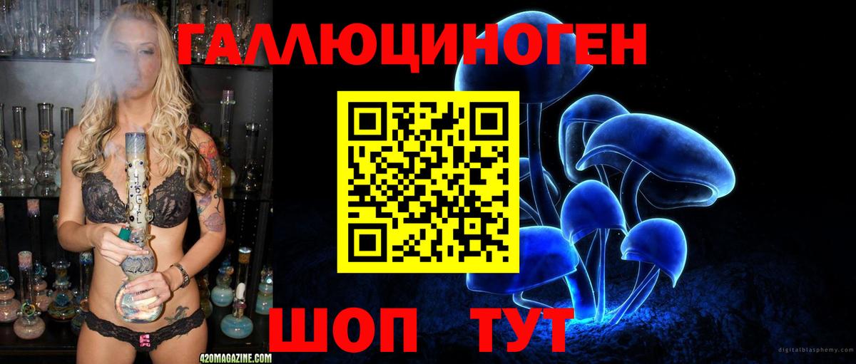 Псилоцибиновые грибы мицелий Выборг